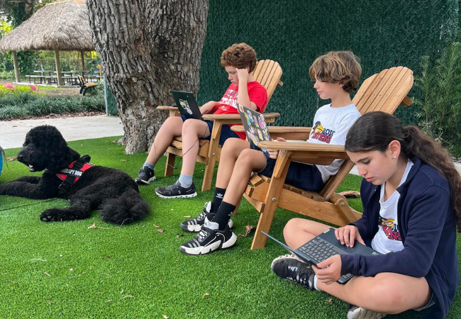 Leo the Therapy Dog Studying with Students 
