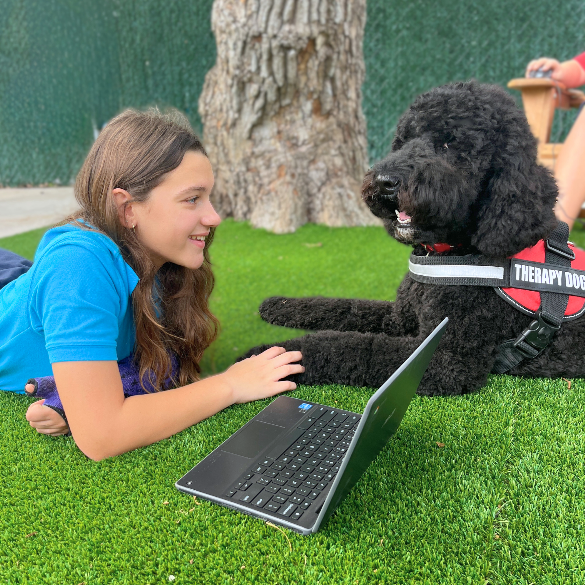 A female Roig student working on her laptop with Leo, the school's Therapy Dog. He is a black poodle.